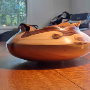 camphor laurel hollow live edge